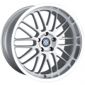 Beyern Type Mesh