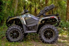 Arctic Cat 700BDL