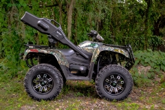 Arctic Cat 700BDL