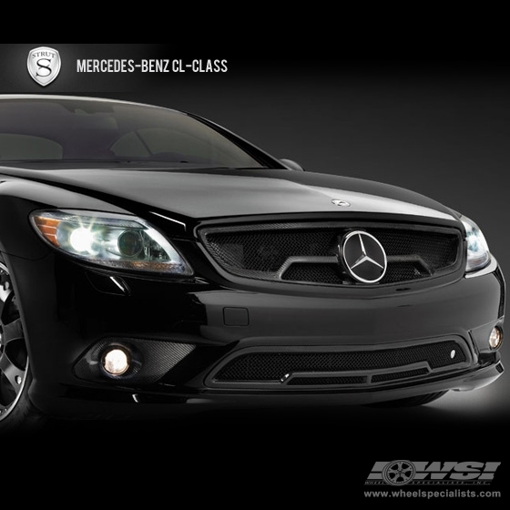 Strut Grilles  Mercedes-Benz CLS in Black (Carbon Fiber)