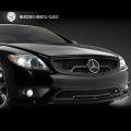 Strut Grilles  Mercedes-Benz CLS